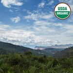 Colombia Narino vista with organic coffee in foreground