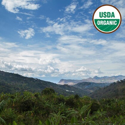 Colombia Narino vista with organic coffee in foreground