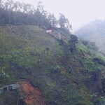 Colombia coffee farm on hillside Valle del Cauca