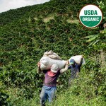 Colombia organic coffee farmer Antioquia