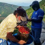 Colombia farmers carbonic fermentation micro-mill
