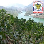 Idyllic Tarrazu region coffee farm overlooking a river