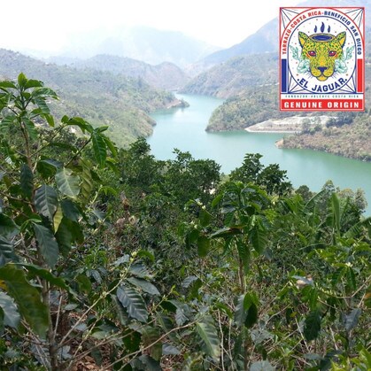 Idyllic Tarrazu region coffee farm overlooking a river