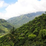 Hillside coffee farm in Costa Rica