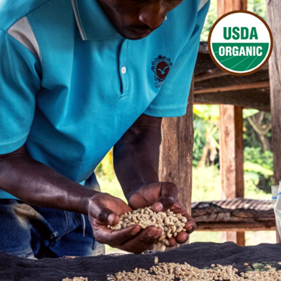 Organic Kivu G3 Virunga Blend