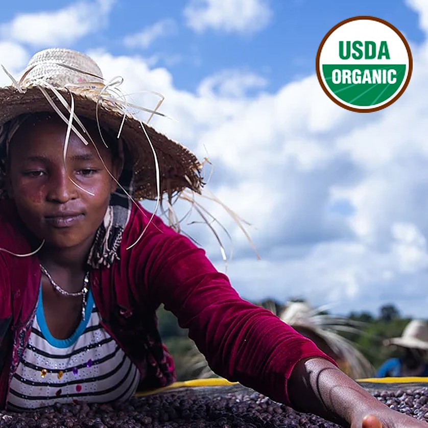 Guji G1 Organic Mormora Natural