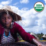Ethiopia Guji green coffee beans natural process