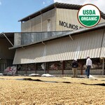 USDA green coffee beans drying at Genuine Origin mill in Comayagua, Honduras