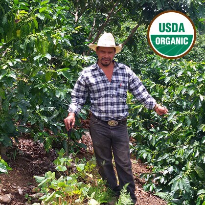 Honduras coffee producer S. Vasquez on his farm. USDA green coffee beans Honduras