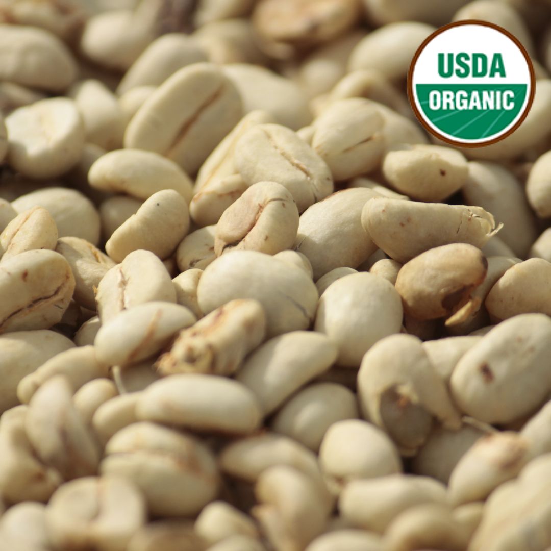 Bosques de Neblina Organic G1