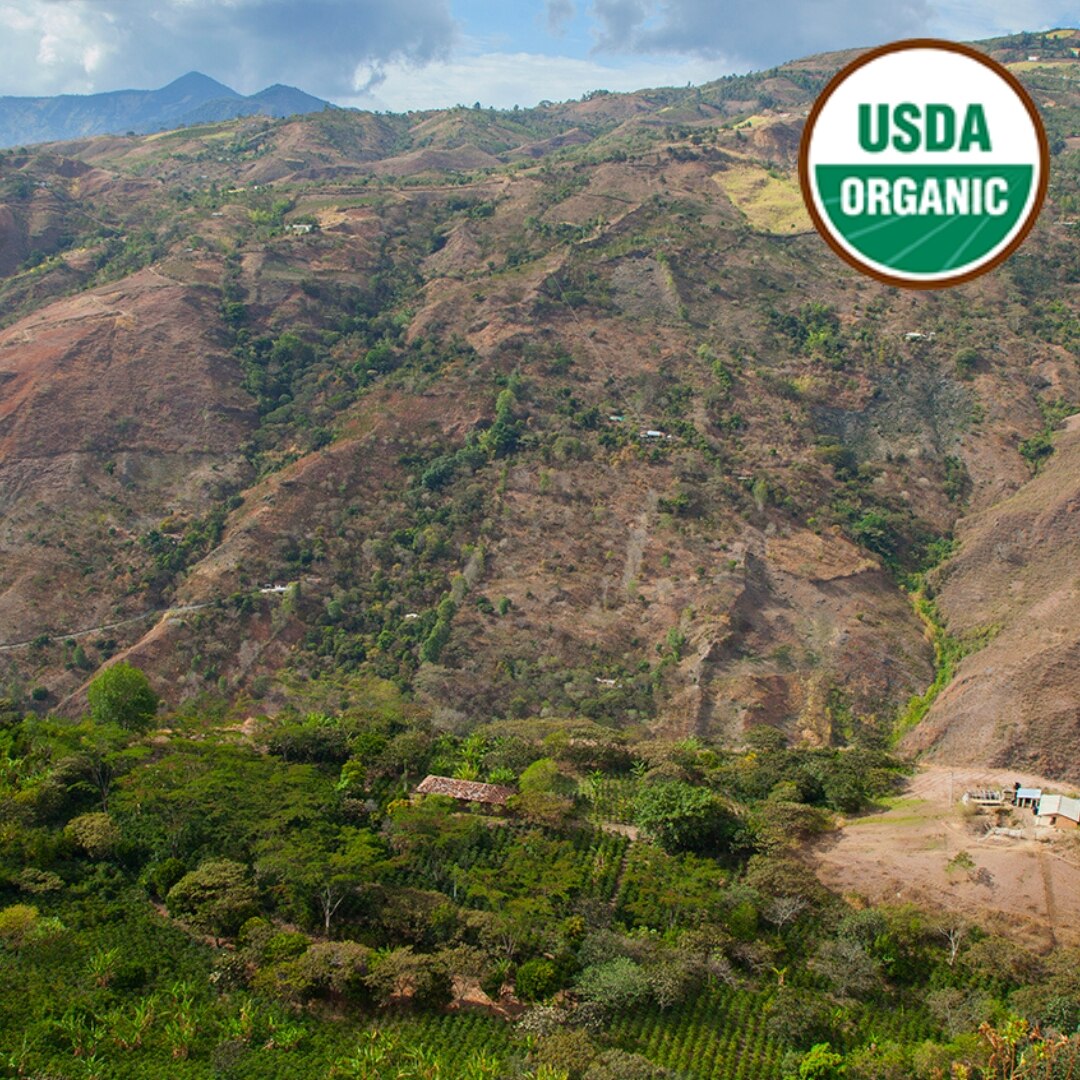 Organic Narino Alianza EP