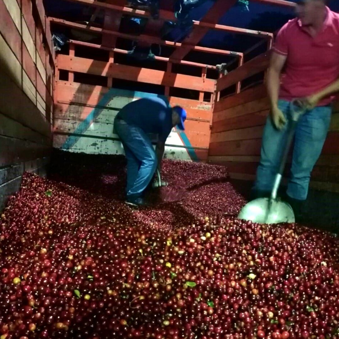 Cordillera de Fuego Termico Natural SHB/EP