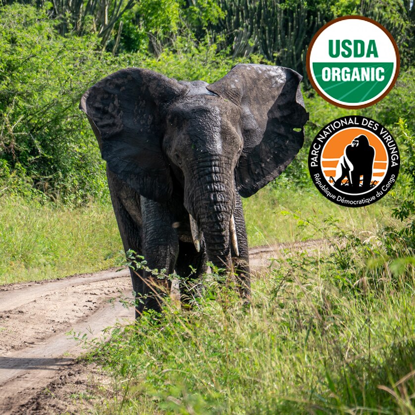 Organic Gorilla Blend Kivu 3 Washed