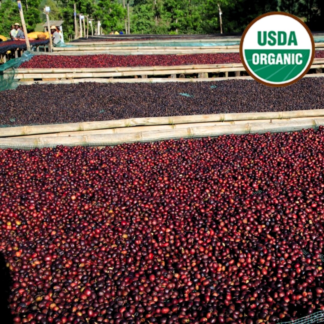 Organic Guji Highlands G1 Natural