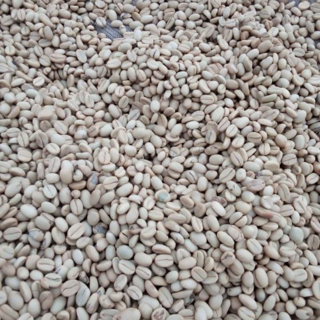 AB Keng'uso Coffee Estate