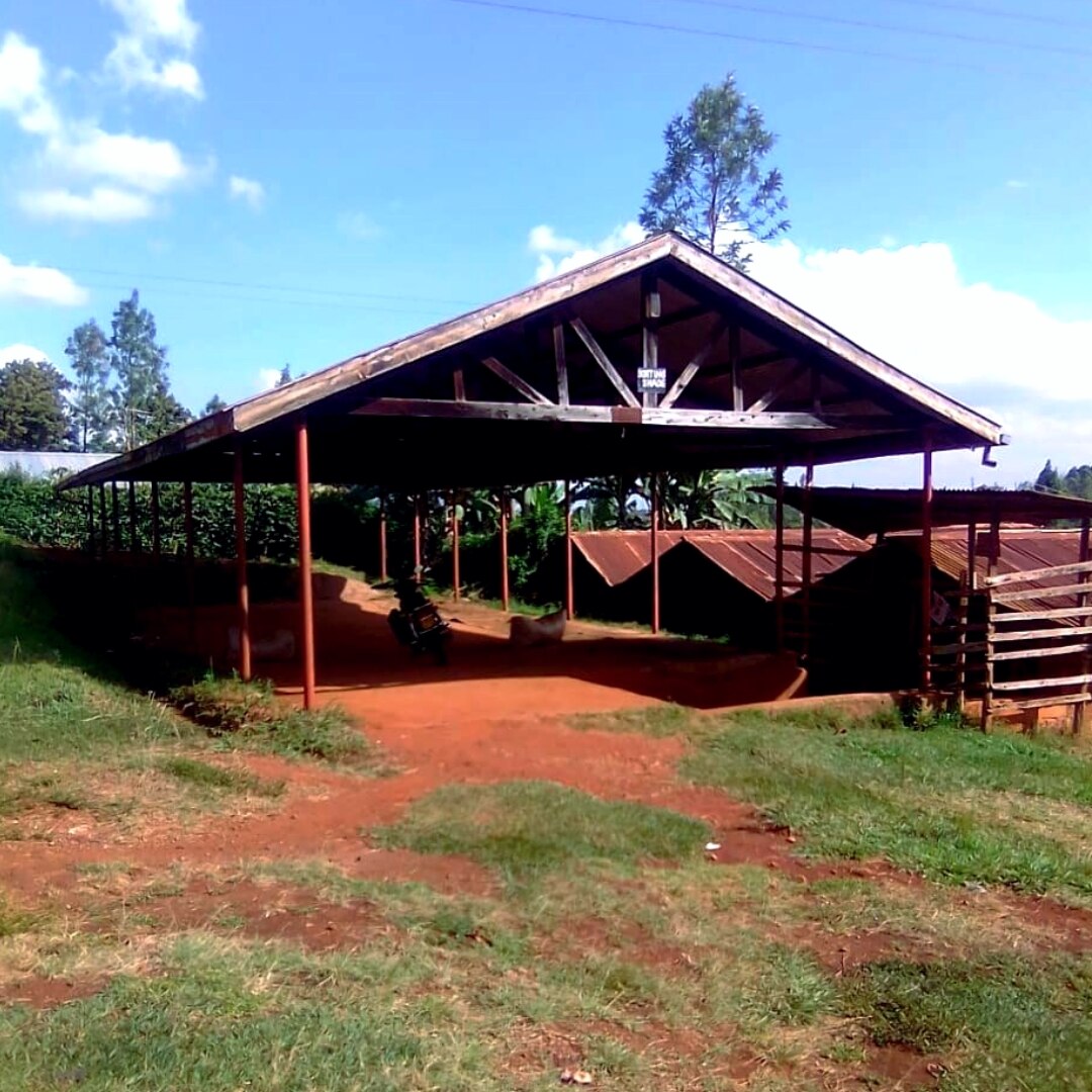 AB Kimaratia Gachika