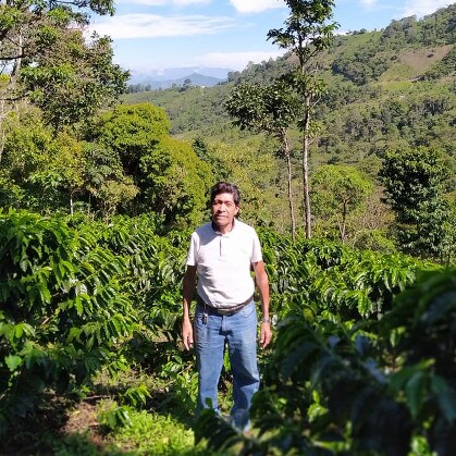 Mario Santiz Lopez on his farm Vista Hermosa