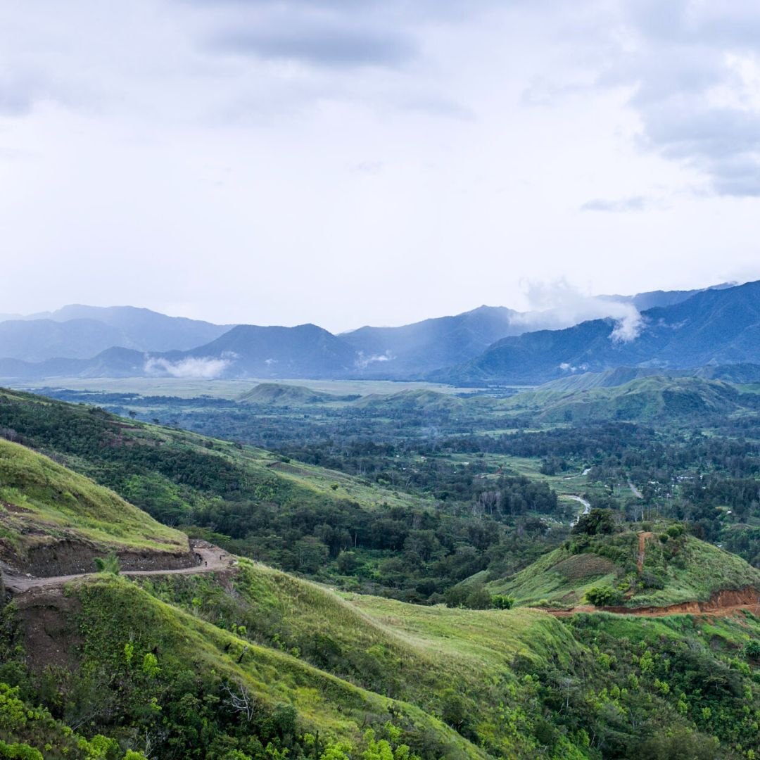 Colbran Farm Geisha A