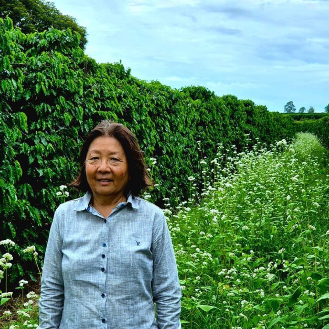 Fazenda Catanduva Semi-Washed NY 2/3 SCR 17+ SSFC