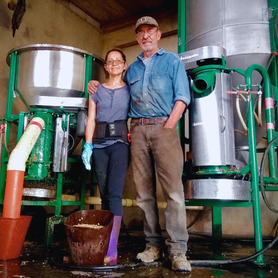 Villa Lara 36HR Fermentation Washed