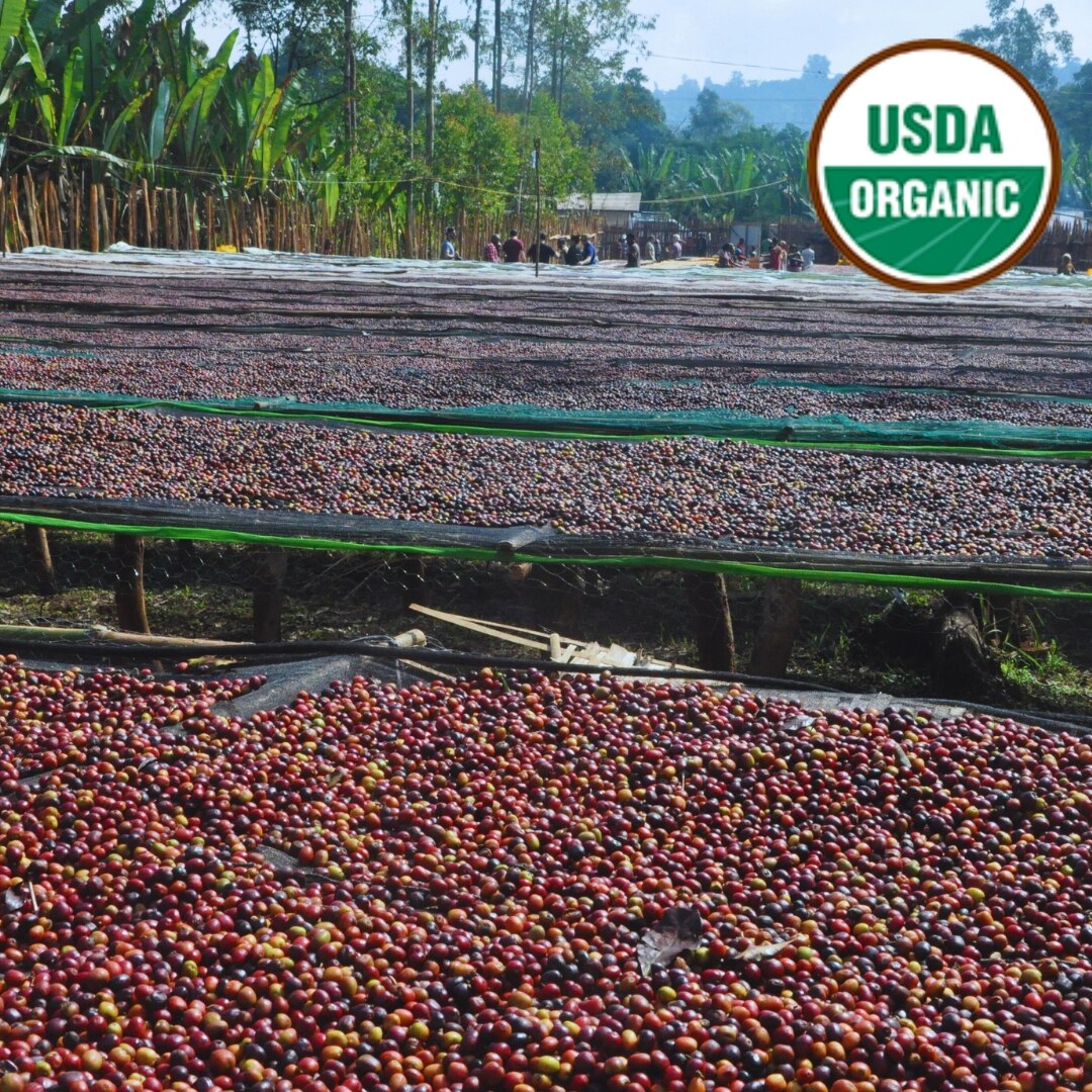 Organic Yirgacheffe Chelchele G2 Natural