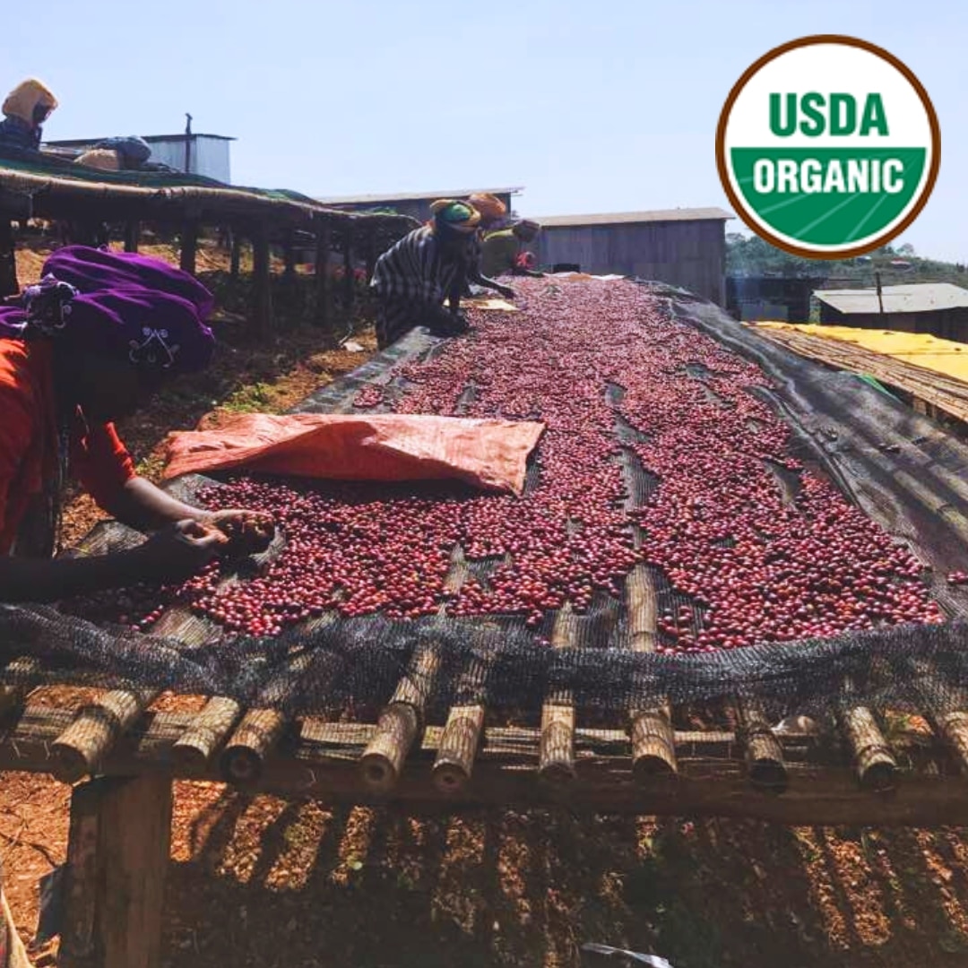 Sidama Organic Worku Buche G1 Natural
