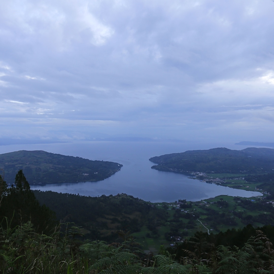 Sumatra Mandheling Karo Highlands G1 TP Wet Hulled