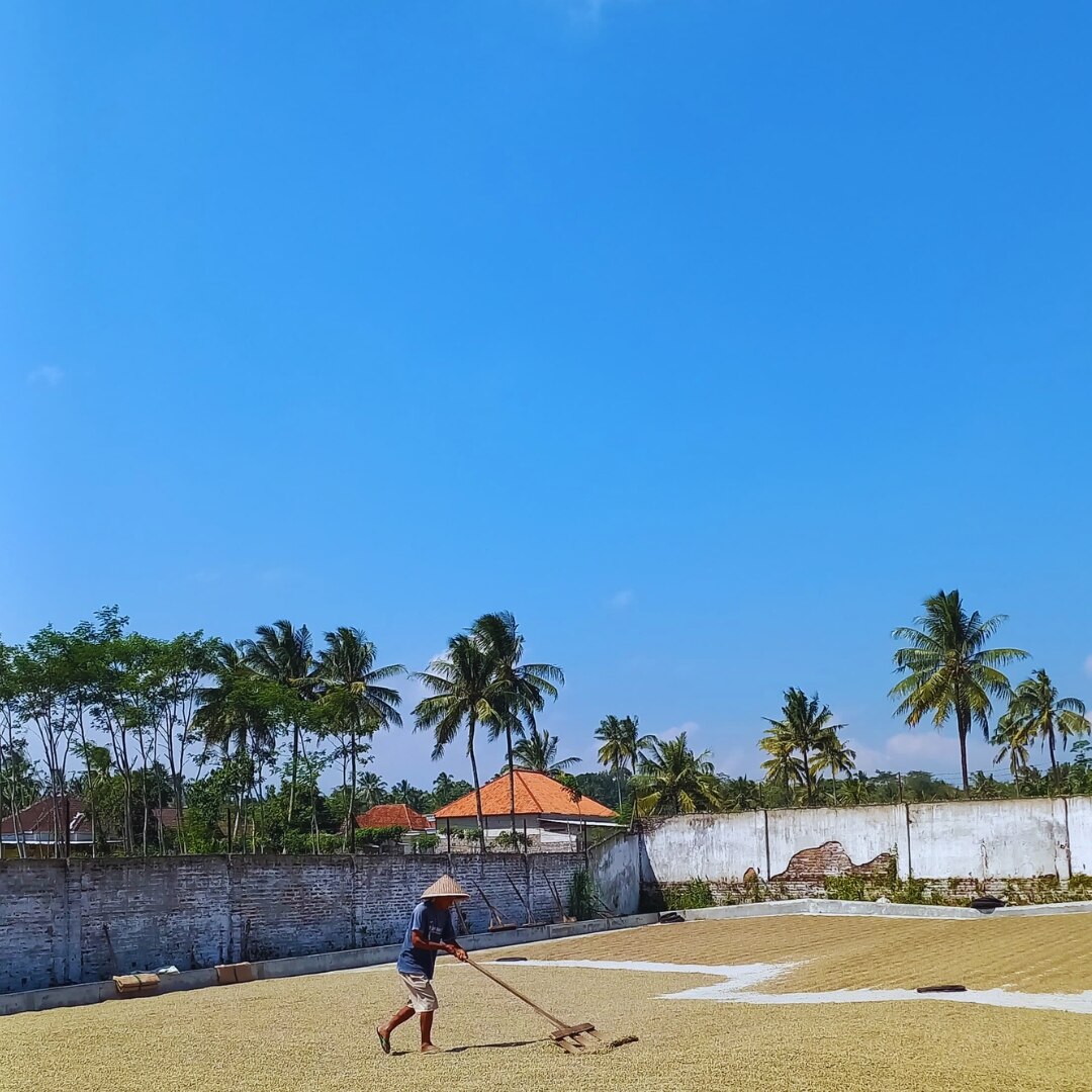 Java G1 TP Wet-Hulled