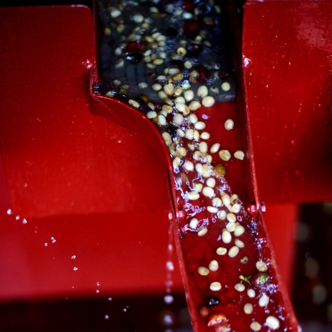 AA Kangiri New Irati