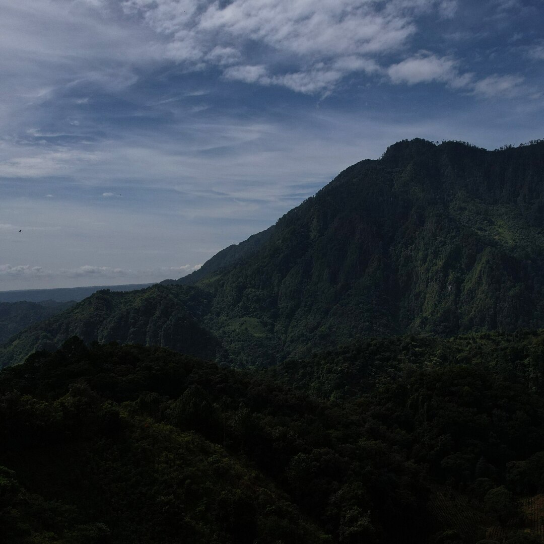 Veracruz Mountain Water Decaf HG