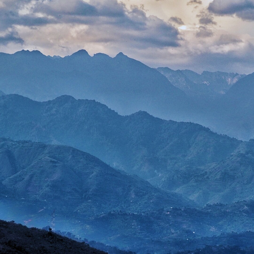 Natural Liberica Excelsa Scr 14+