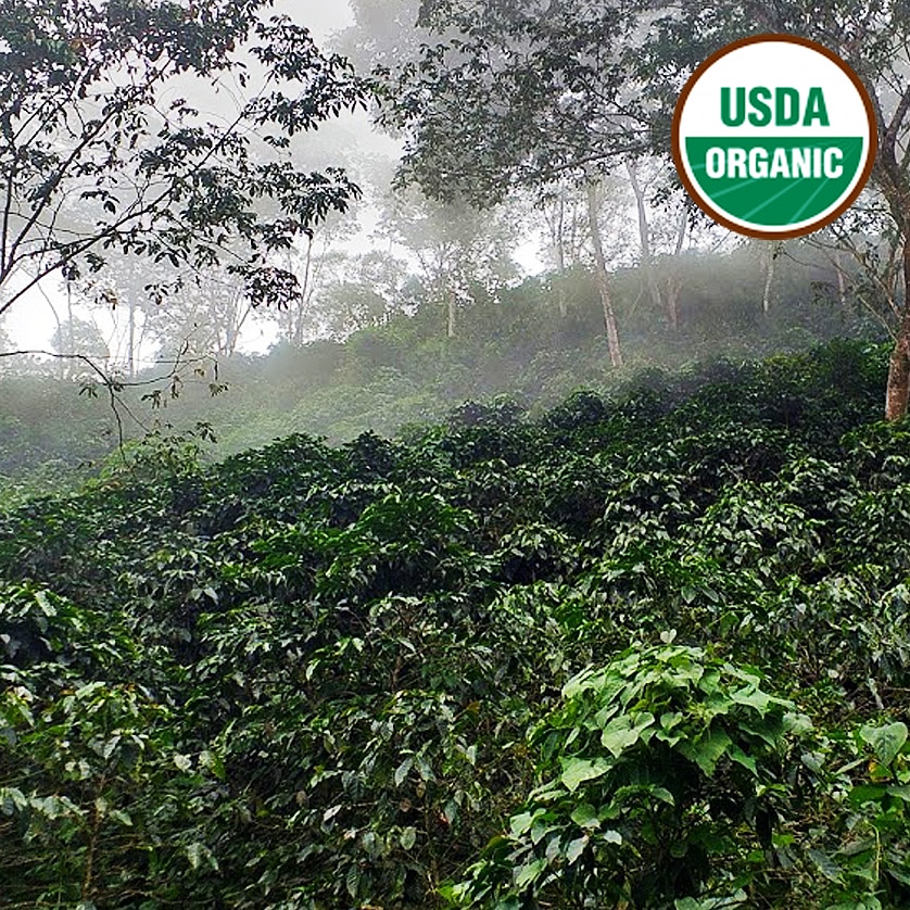 Sierra Nevada Asobiopaz Organic EP