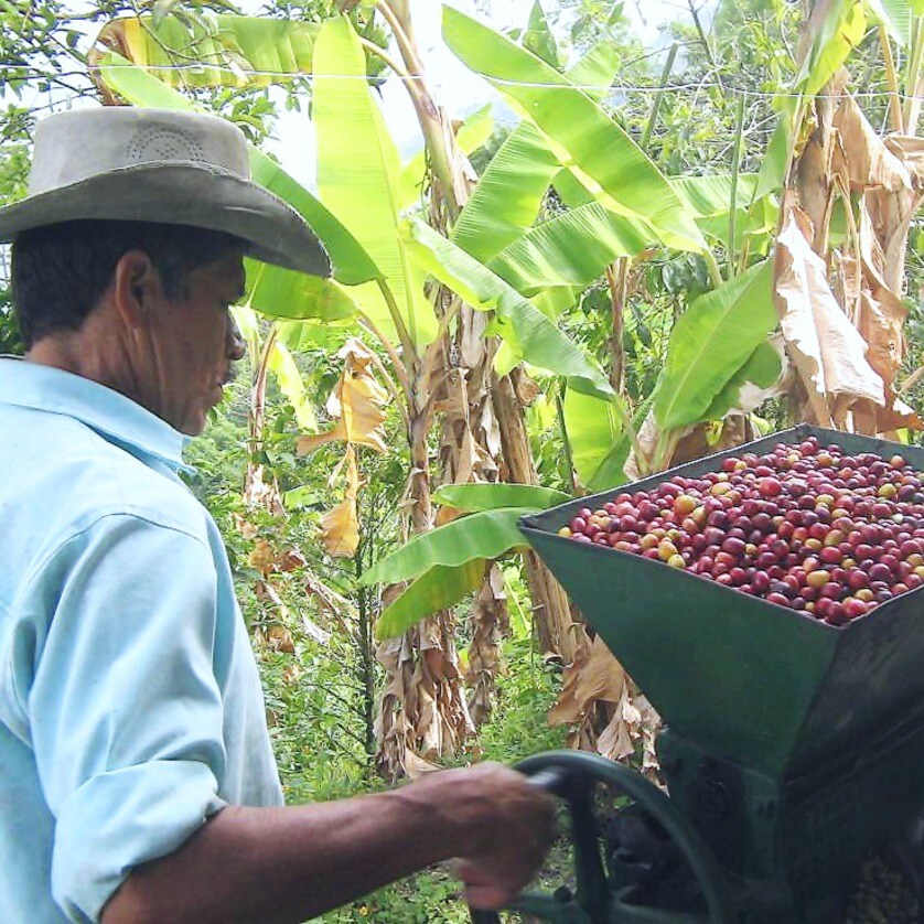 Cauca Juan Tama Washed Excelso