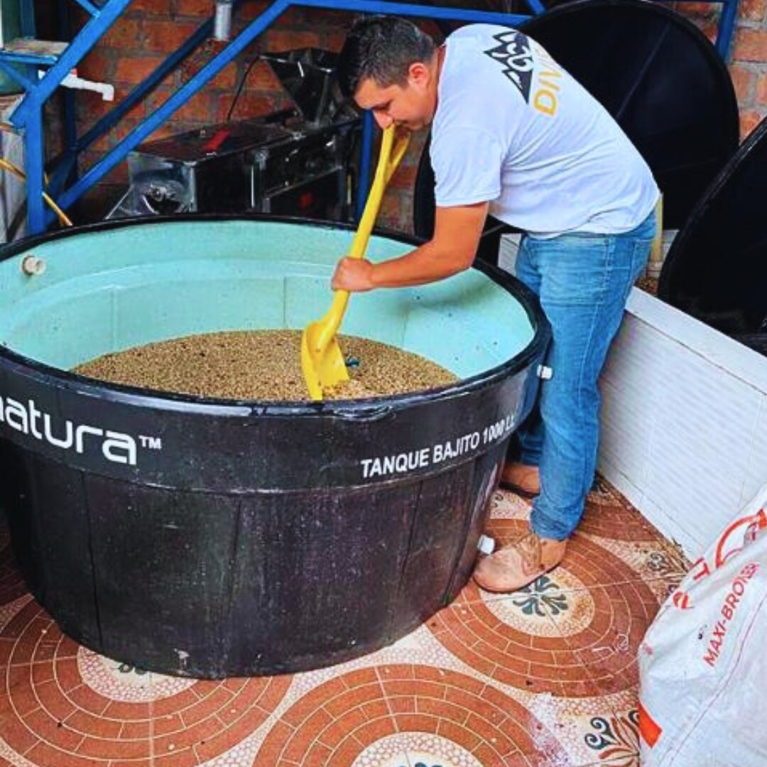 Peñas Blancas Mill Java Natural