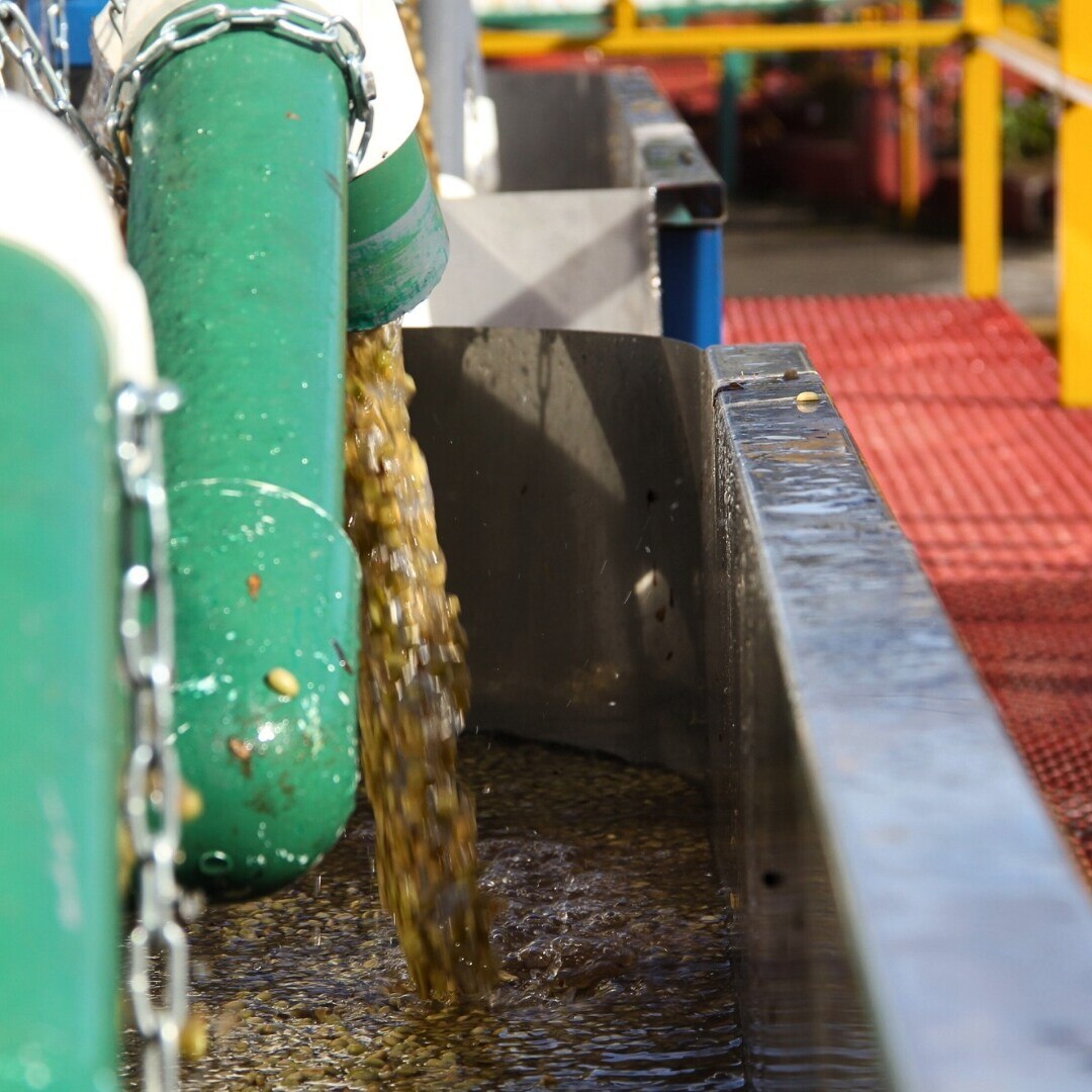 Tarrazú Hot Springs SHB/EP