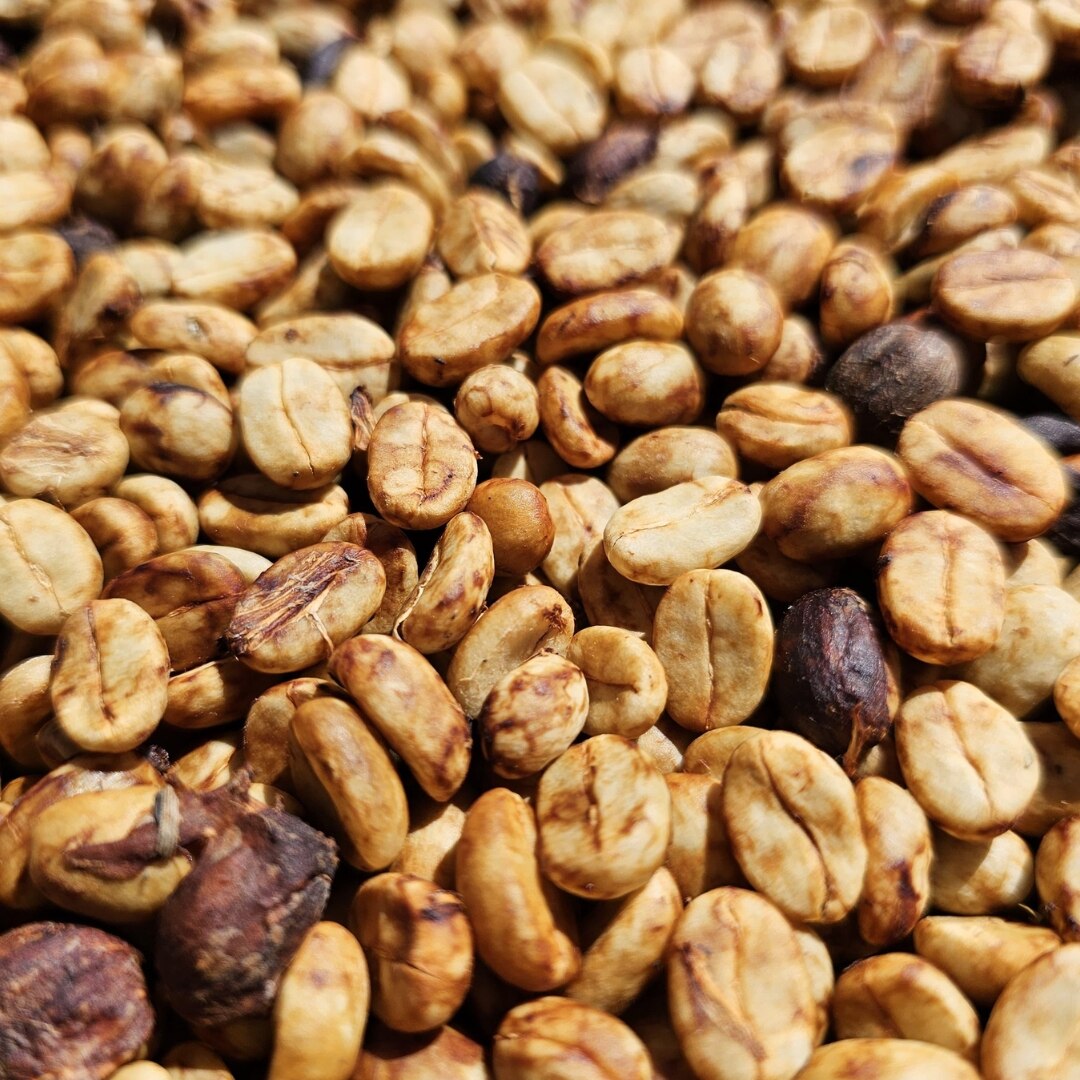 Finca El Centro Villa Sarchi Natural