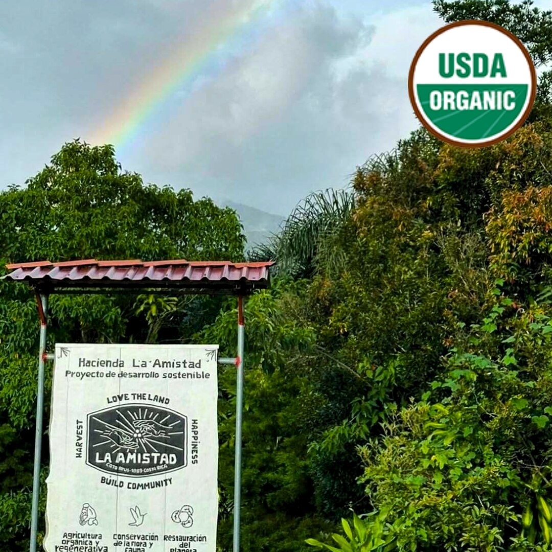 Hacienda La Amistad Organic Honey SHB EP