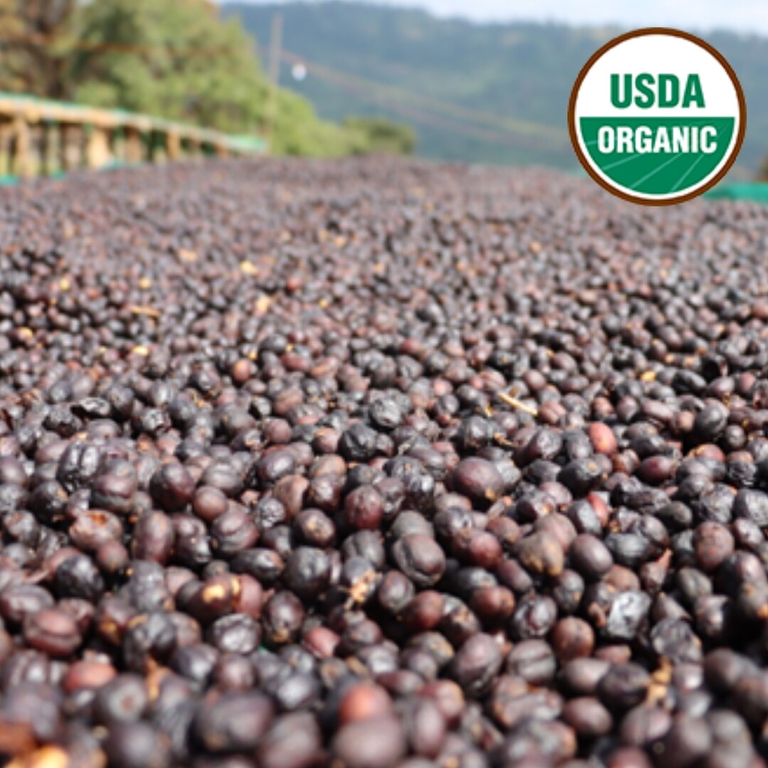 Organic Guji Dimtu Tora G1 Natural