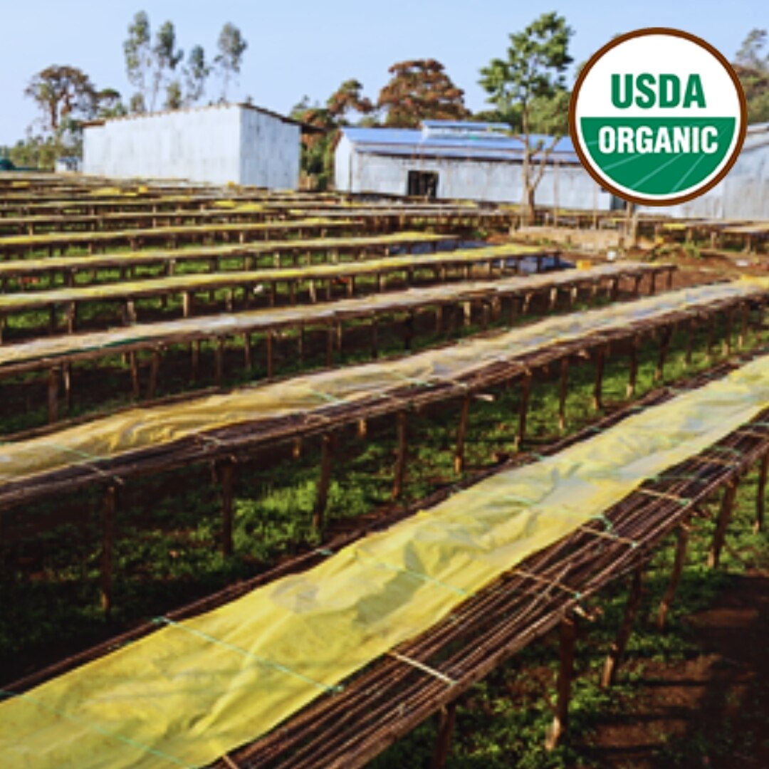 Organic Guji Uraga G2 Washed