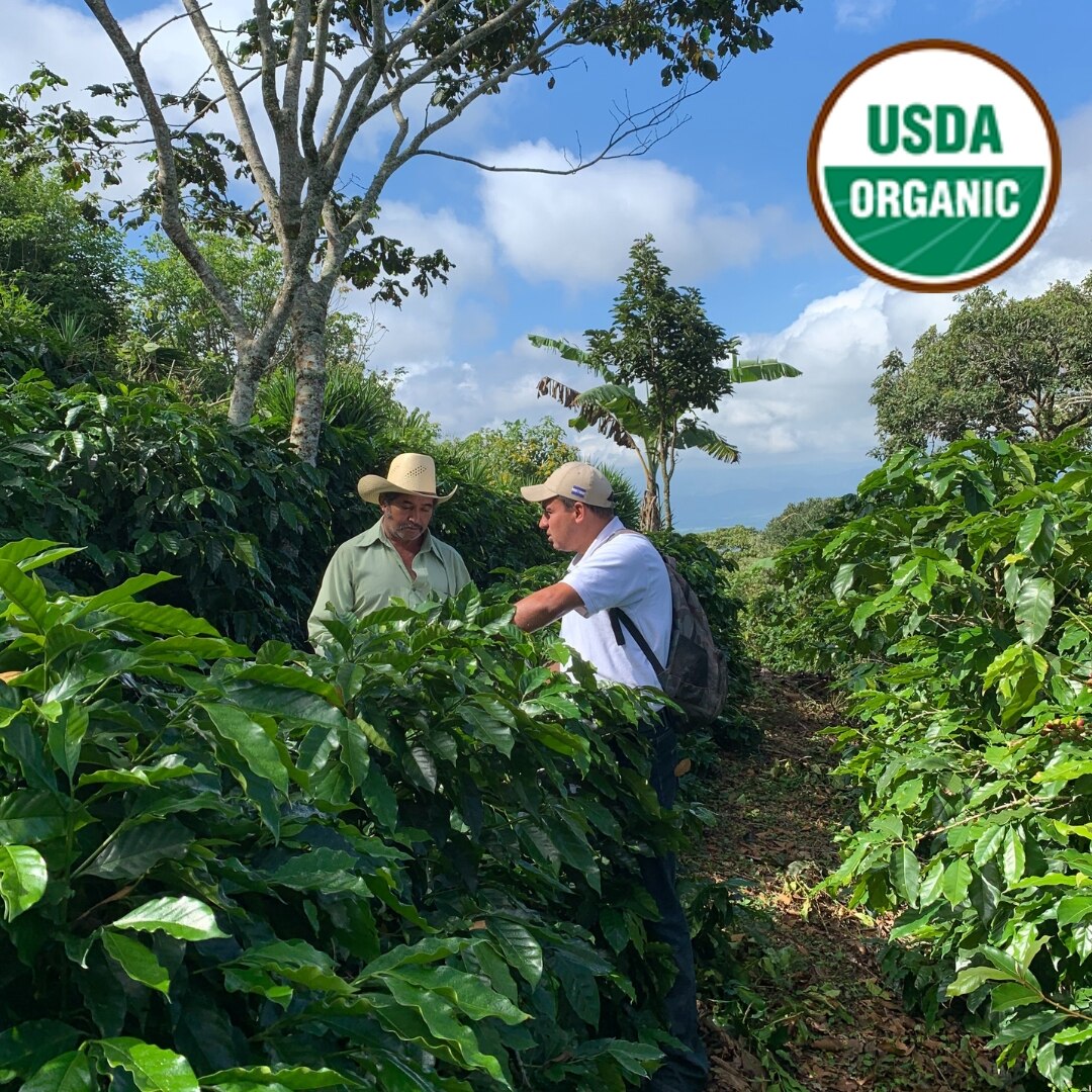 Organic Copan SHG EP