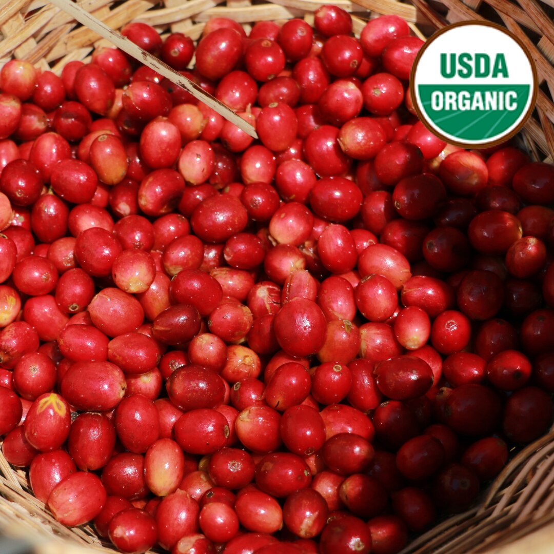 Organic Swiss Water Process Decaf HG EP