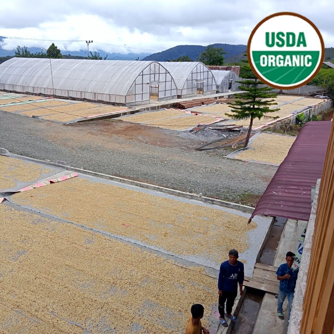 Sumatra Koperasi Organic Gayo G1 TP Wet Hulled