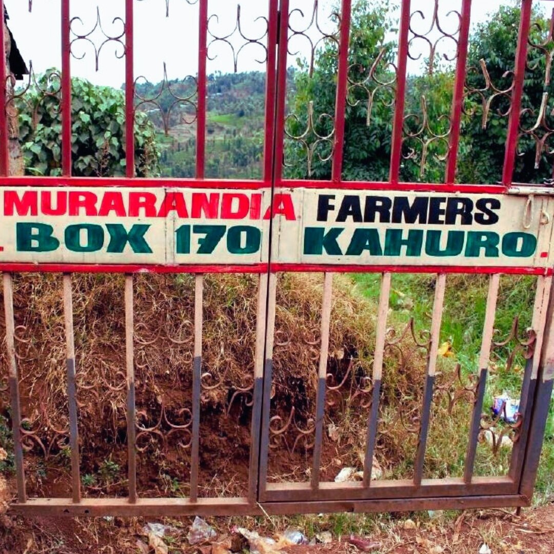 AA Murarandia Factory