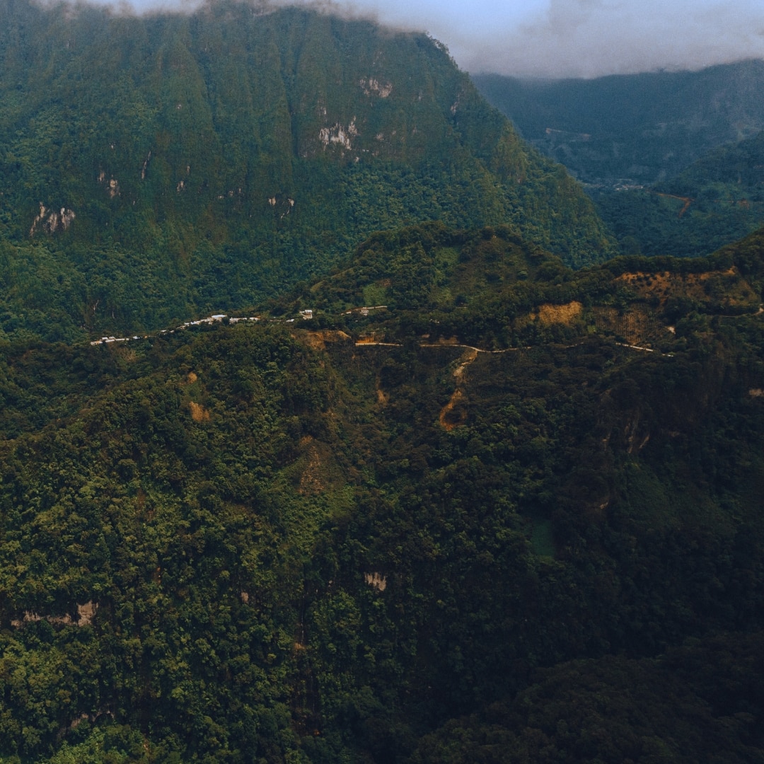 Chiapas Highlands Washed SHG