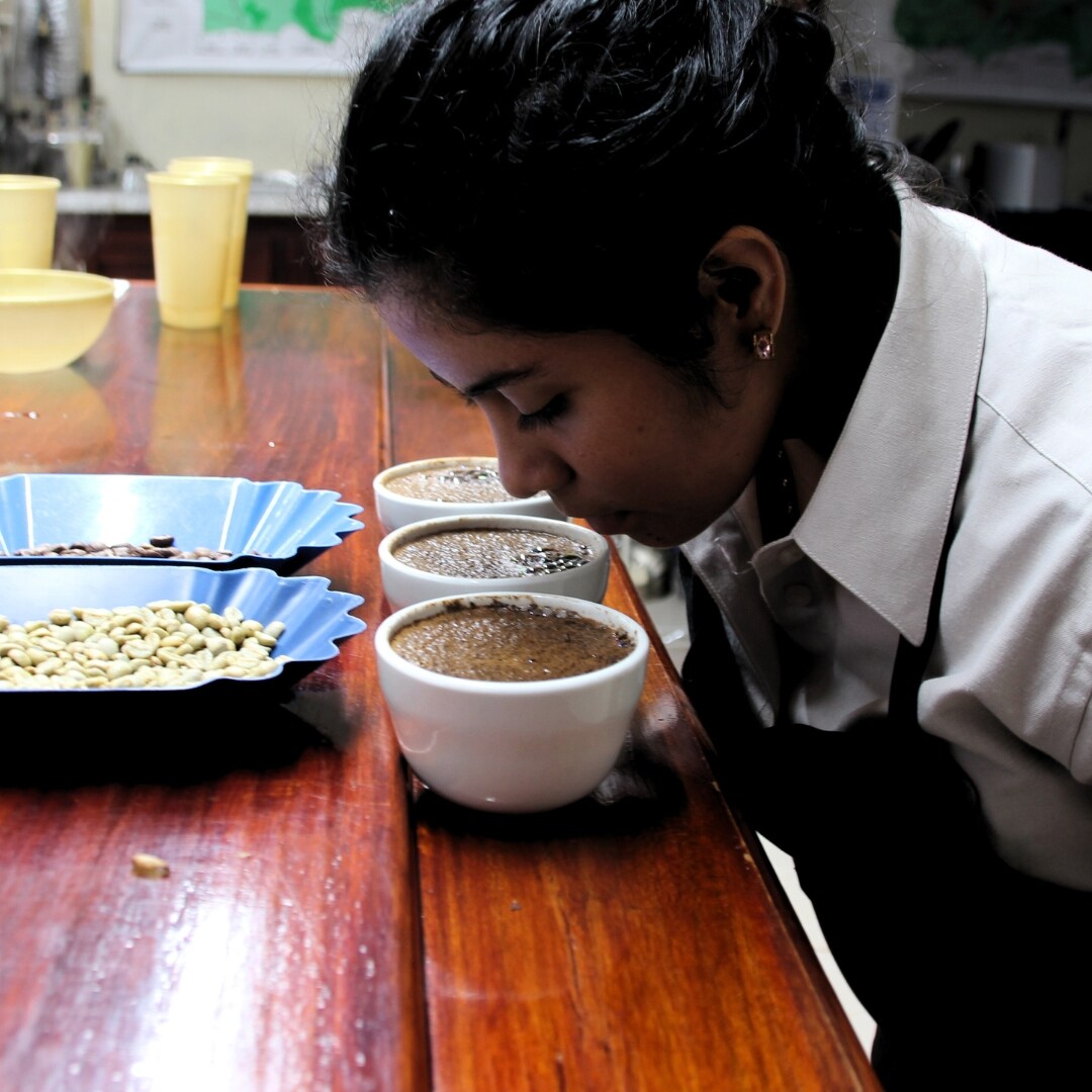 La Bastilla San Pedro H3 Hybrid Washed SHG/EP