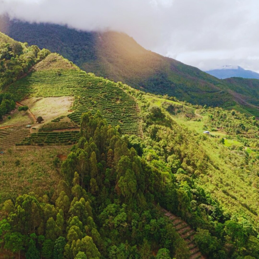 Junin Chanchamayu G1 Washed