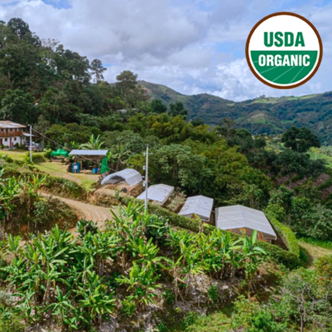 Amazonas Organic G1 Swiss Water Decaf