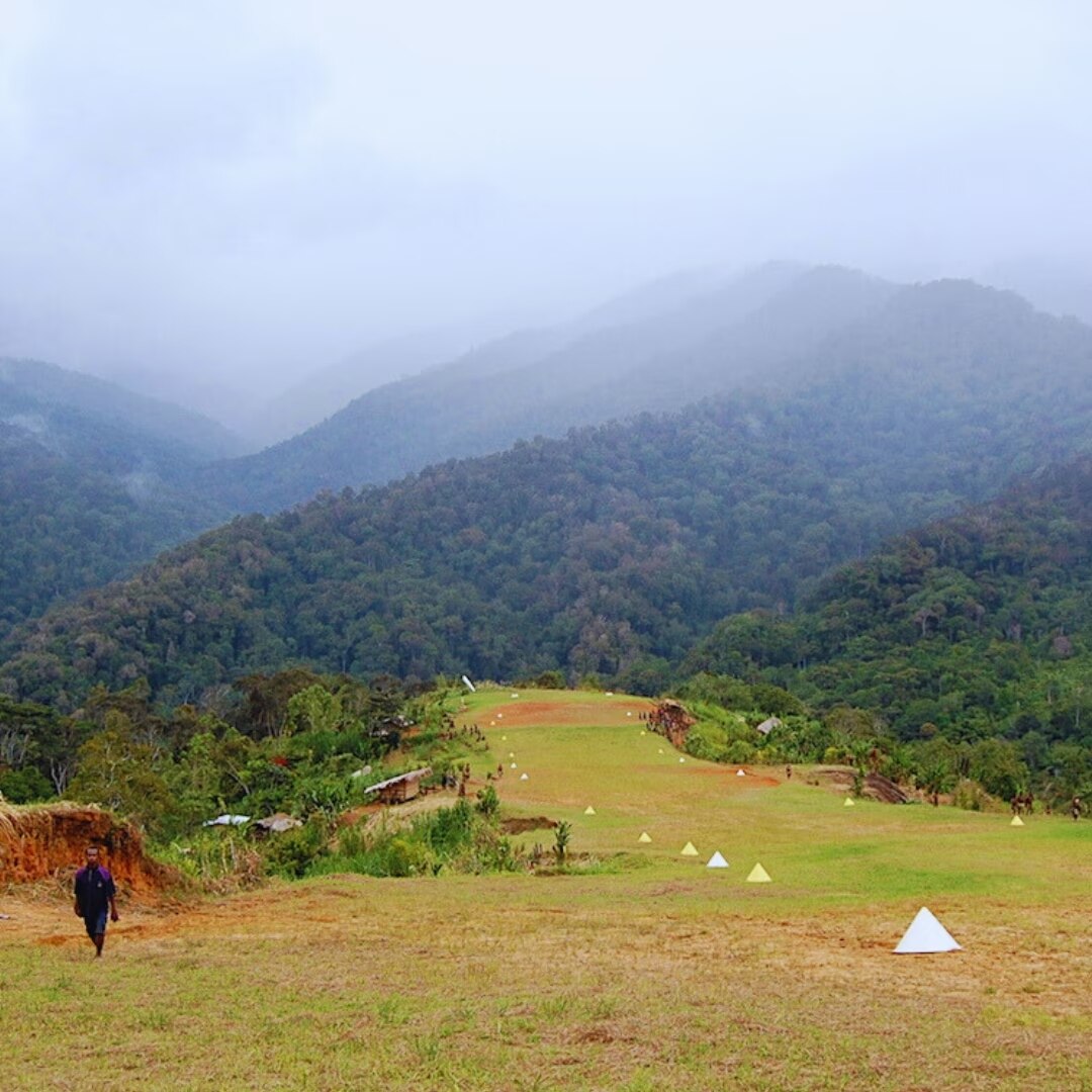 Simbai Balus Kopi AX