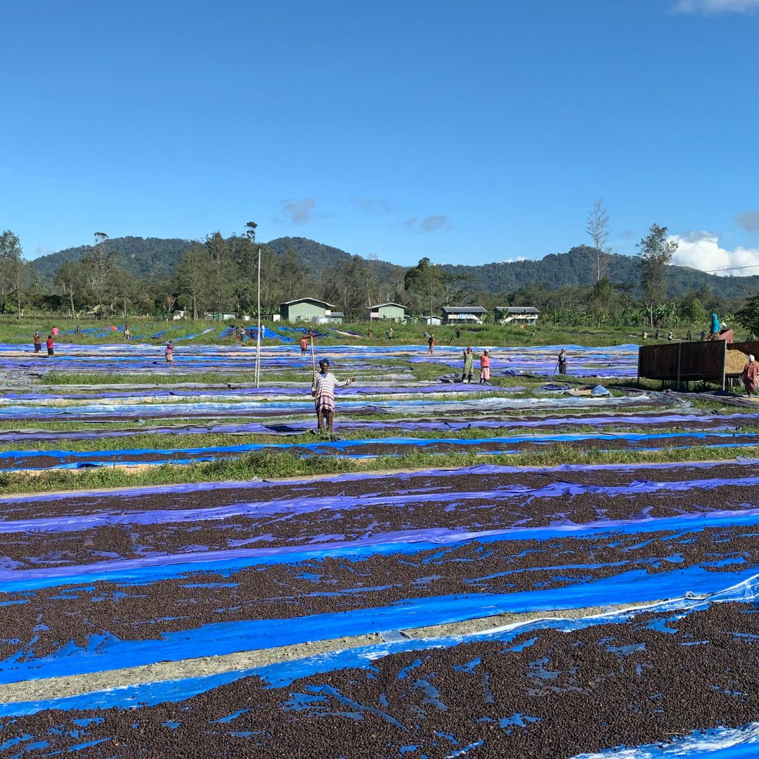 Lahamenegu Red Mountain Natural A