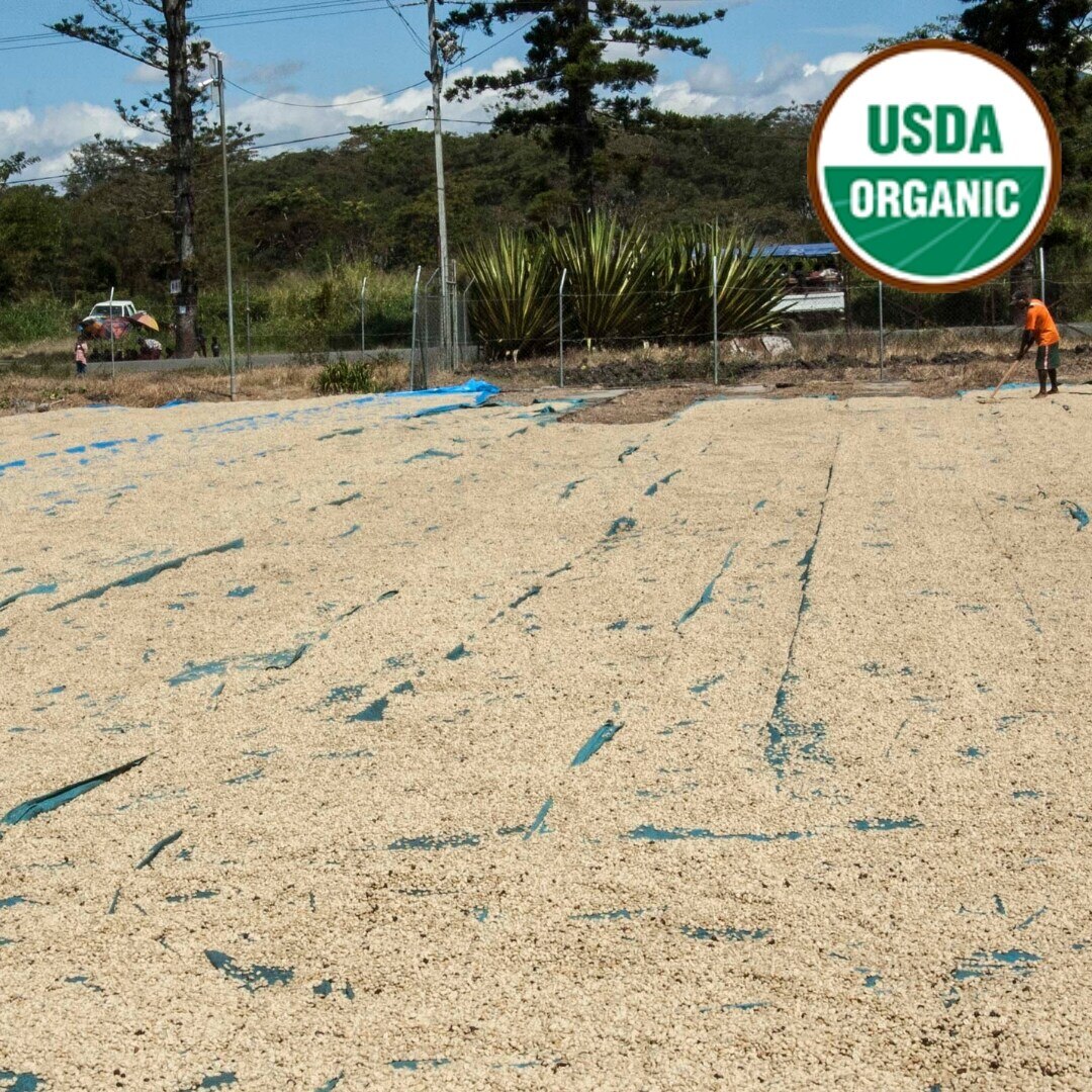 Lahamenegu Eastern Highlands Organic A